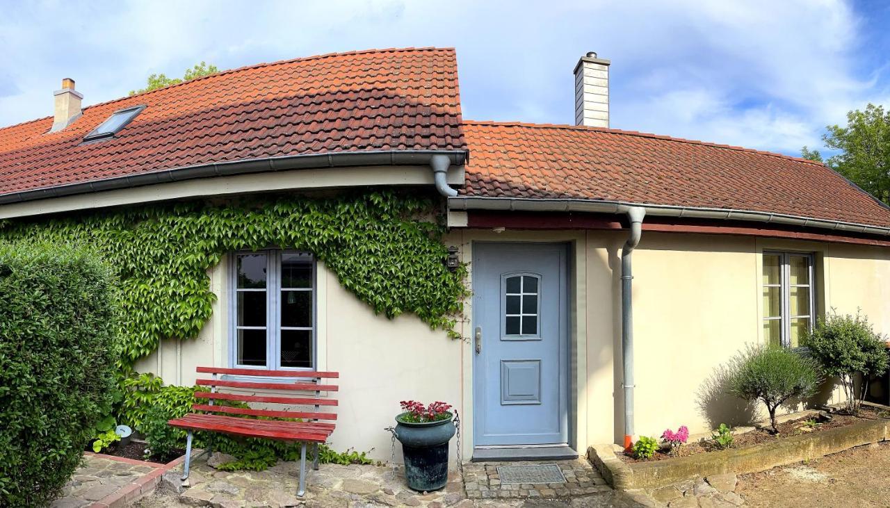 Fewo Im Kneipenviertel Altkoetzschenbroda Radebeul Extérieur photo