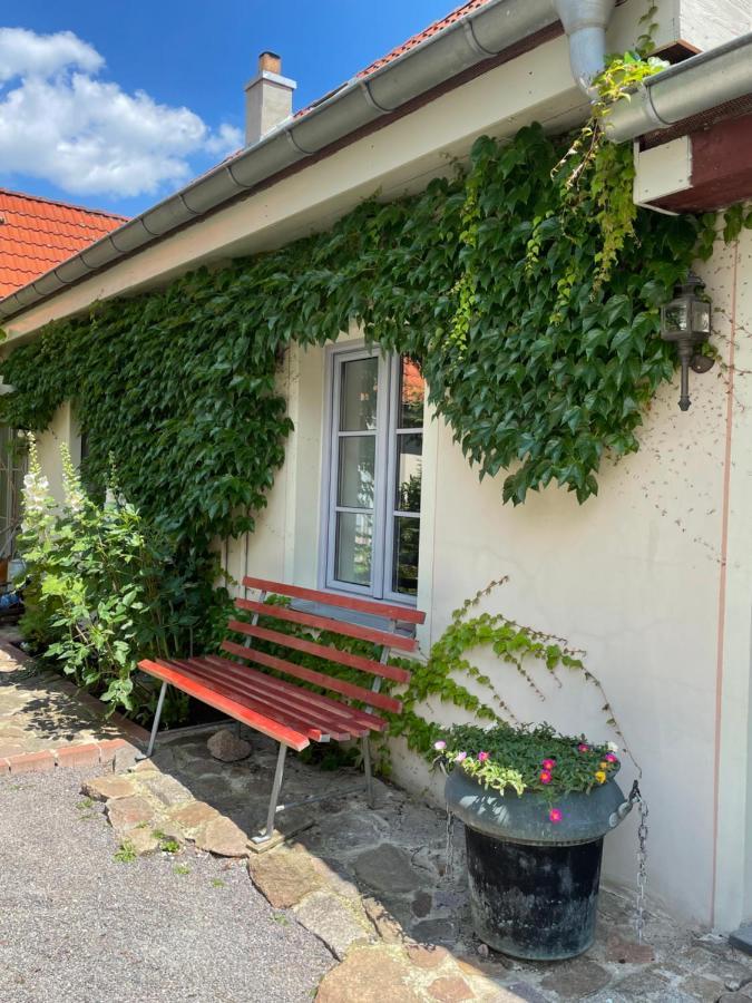Fewo Im Kneipenviertel Altkoetzschenbroda Radebeul Extérieur photo